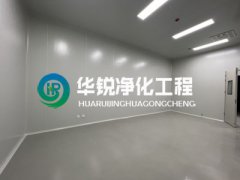 心博（中国）工程的室内布局有哪些要点